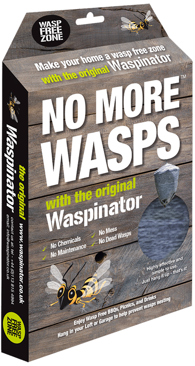 UK wasp population 1 What do wasps eat? It changes according to the time of year. Wasp grubs need a…