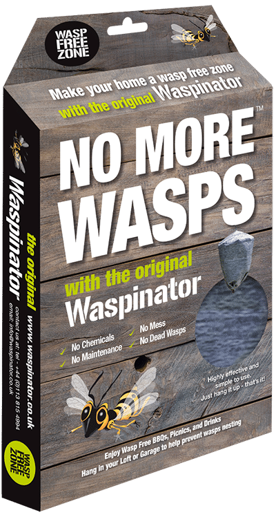 What do wasps eat? It changes according to the time of year. Wasp grubs need a…